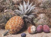 John Sherrin A Pineapple,a Peach and Plums on a mossy Bank (mk37) Spain oil painting artist
